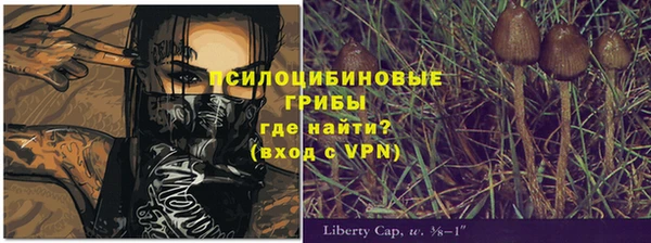 прущая мука Бородино