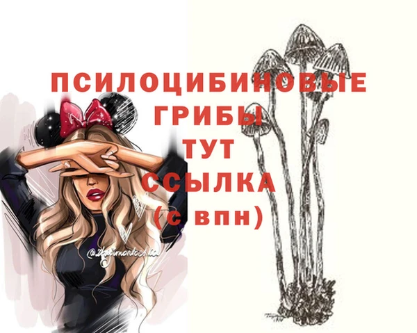 прущая мука Бородино